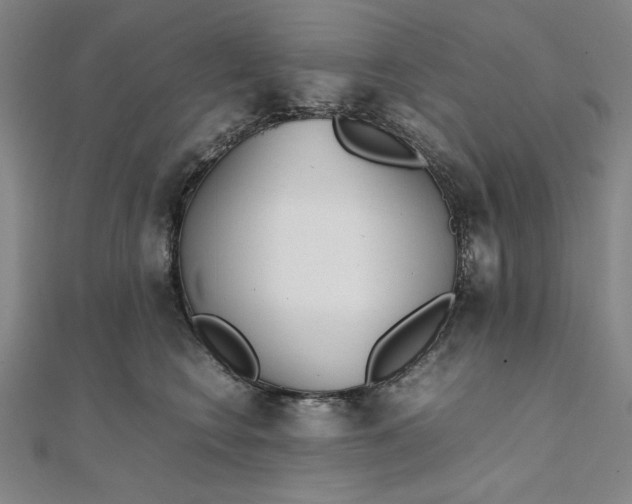 X0000111920566200908031207