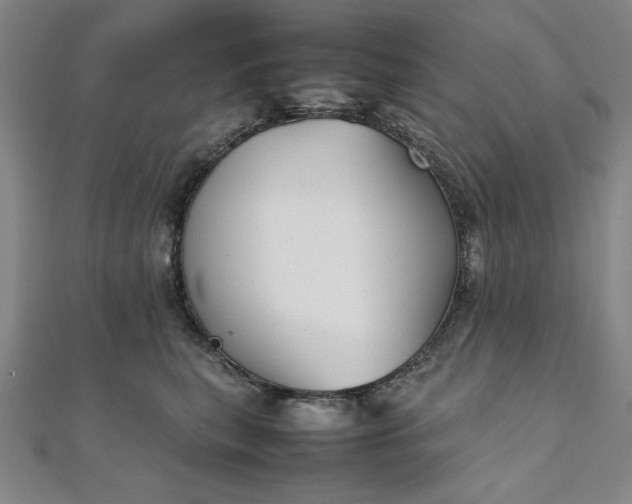 X0000111920567200908031207