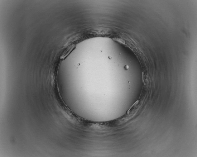 X0000111920568200908031207