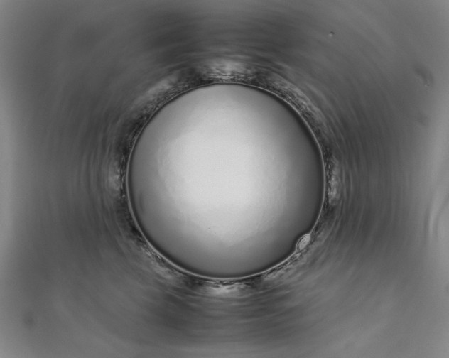 X0000111920569200908031207