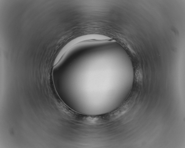 X0000111920570200908031207