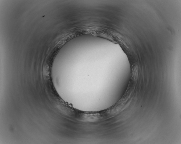 X0000111920571200908031207