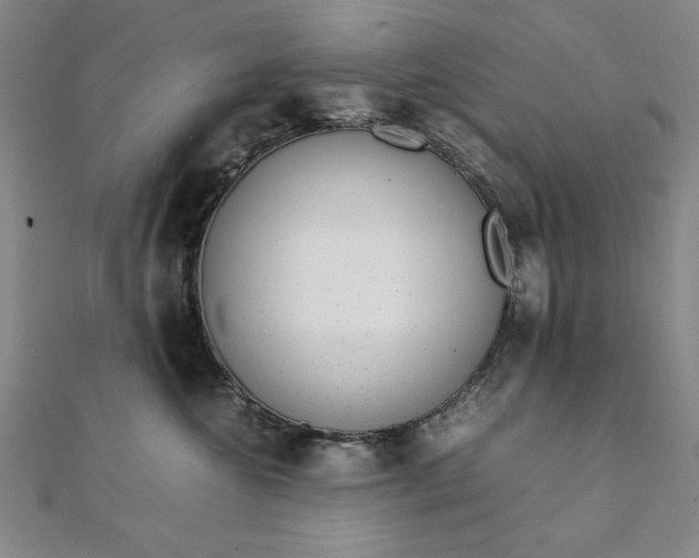 X0000111920572200908031207