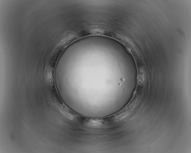 X0000111920573200908031207