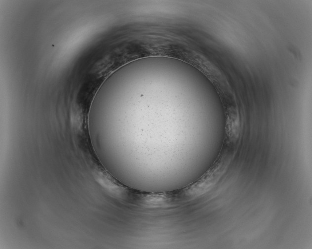 X0000111920574200908031207