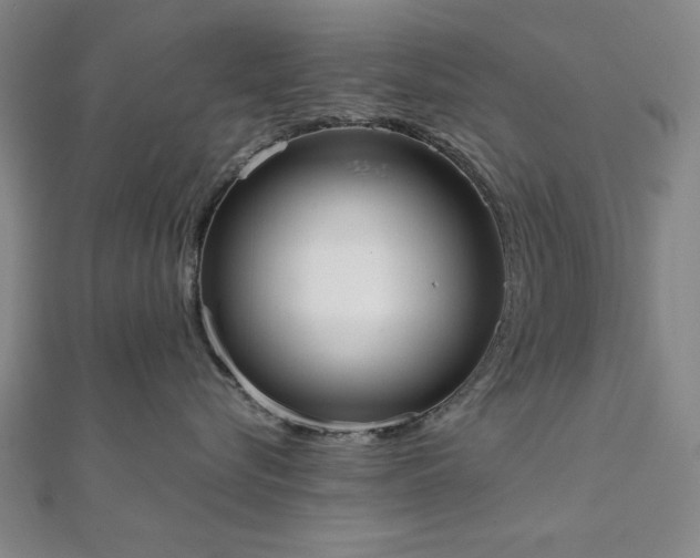 X0000111920576200908031207