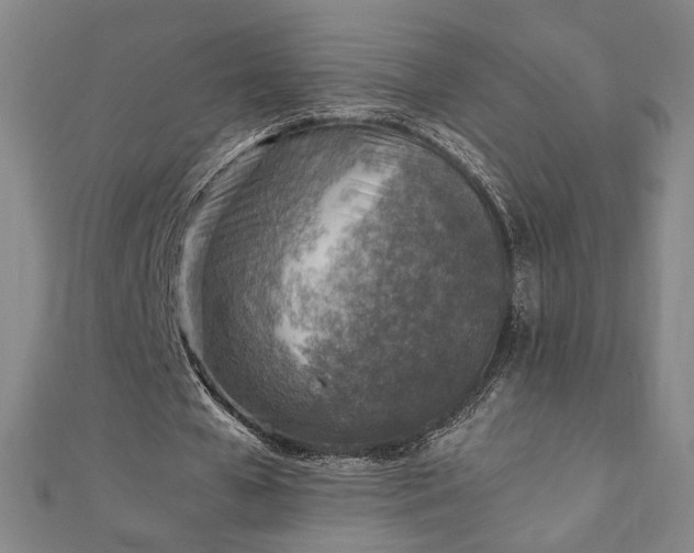 X0000111920577200908031206