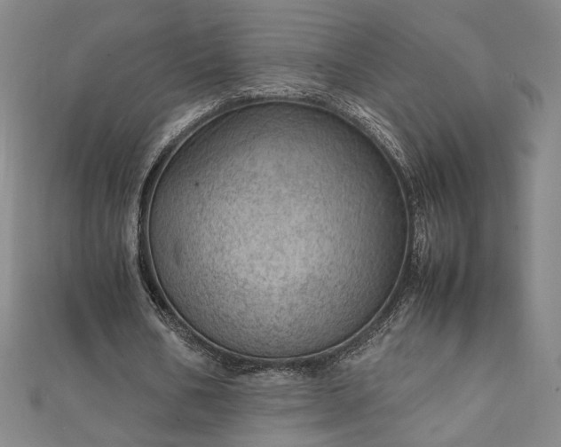 X0000111920578200908031206