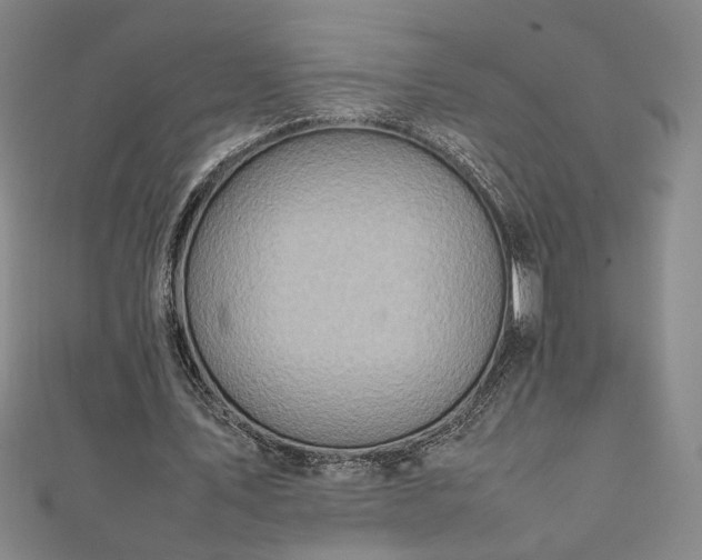 X0000111920579200908031206