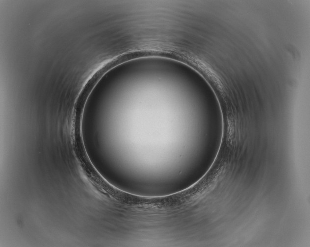 X0000111920580200908031206