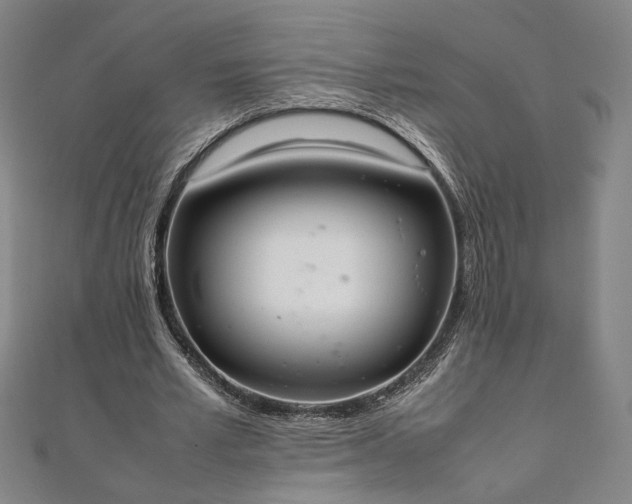 X0000111920581200908031206