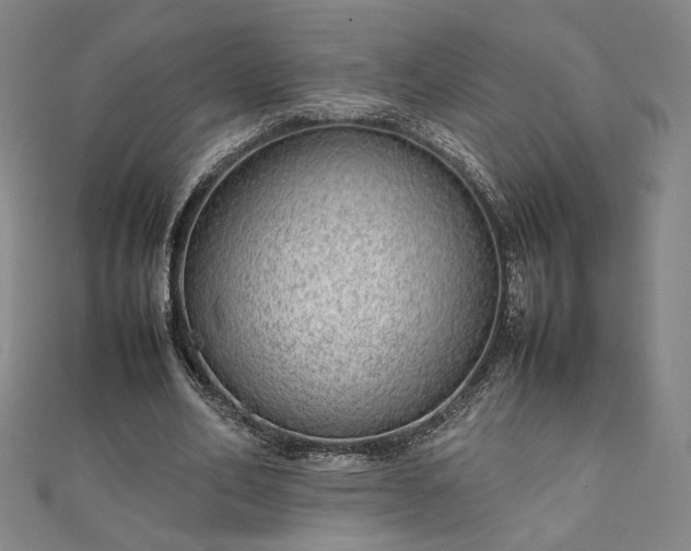 X0000111920582200908031206