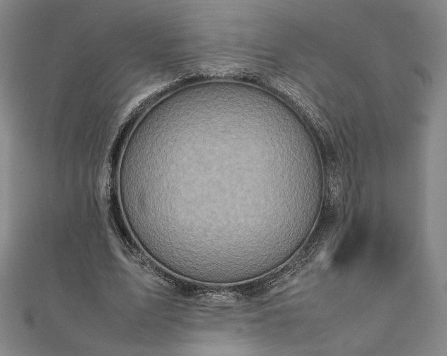 X0000111920583200908031206