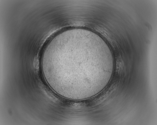 X0000111920584200908031206