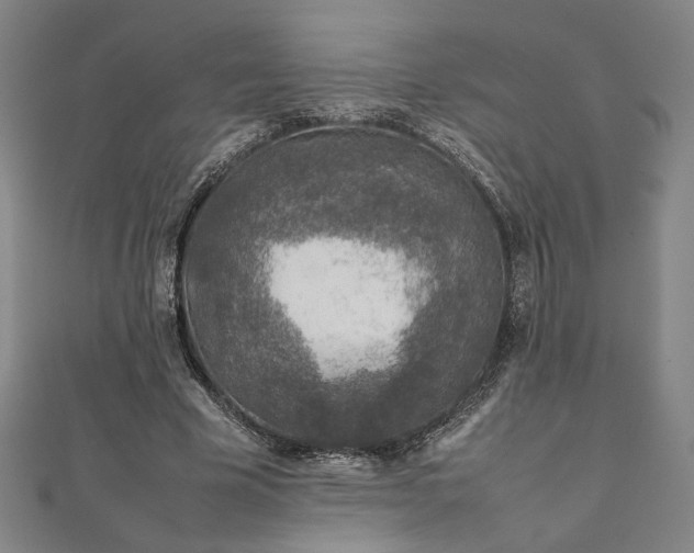 X0000111920585200908031206