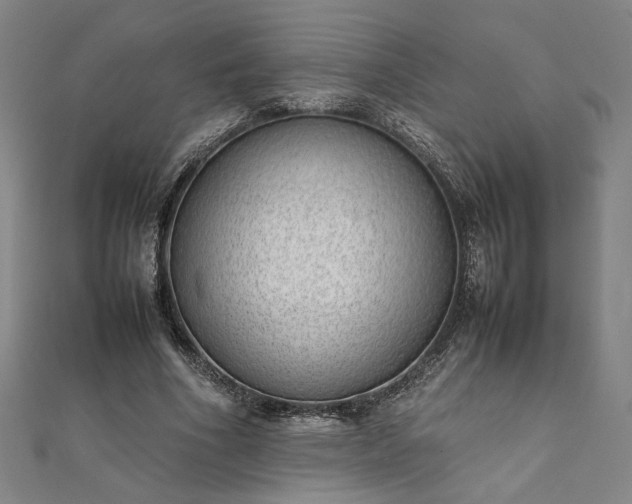 X0000111920586200908031206