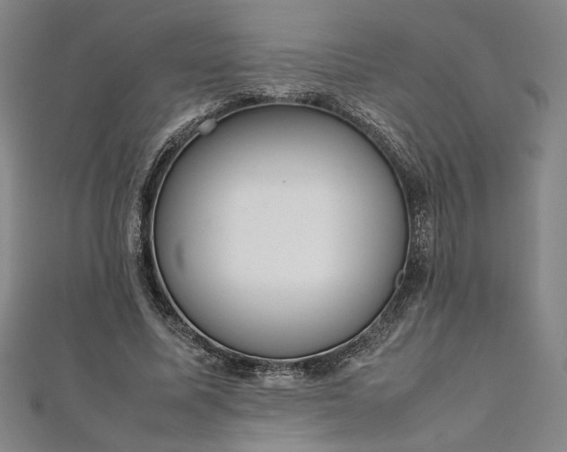 X0000111920587200908031206