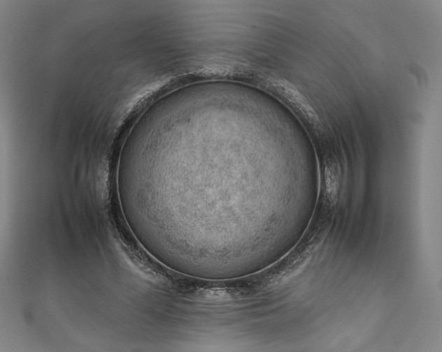 X0000111920588200908031206