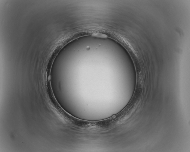 X0000111920589200908031206