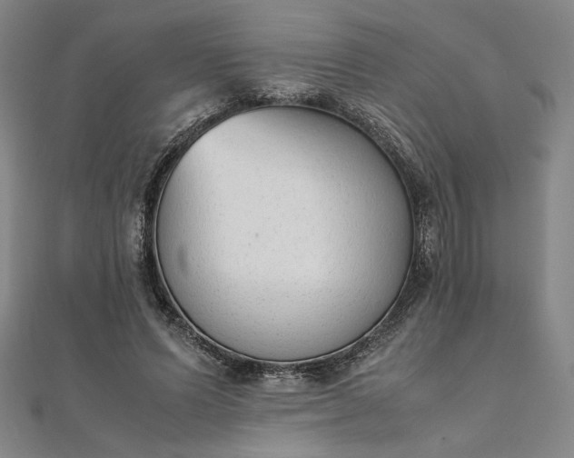 X0000111920591200908031206