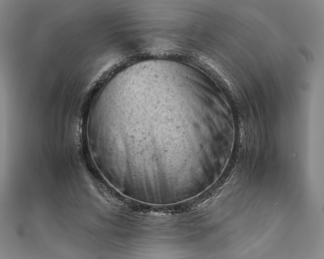 X0000111920592200908031206