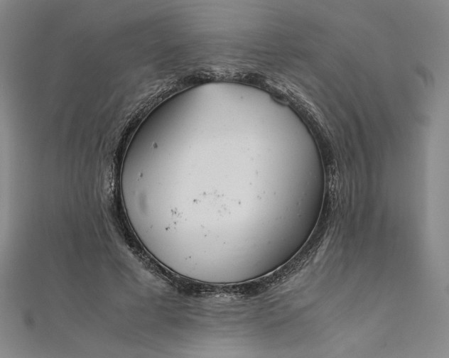 X0000111920593200908031206