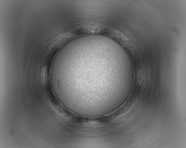 X0000111920594200908031206