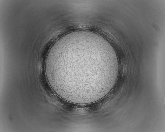 X0000111920595200908031206