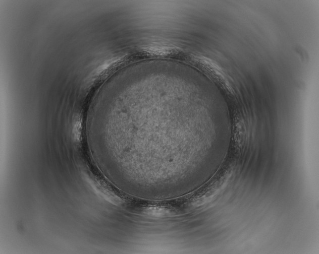 X0000111920596200908031206