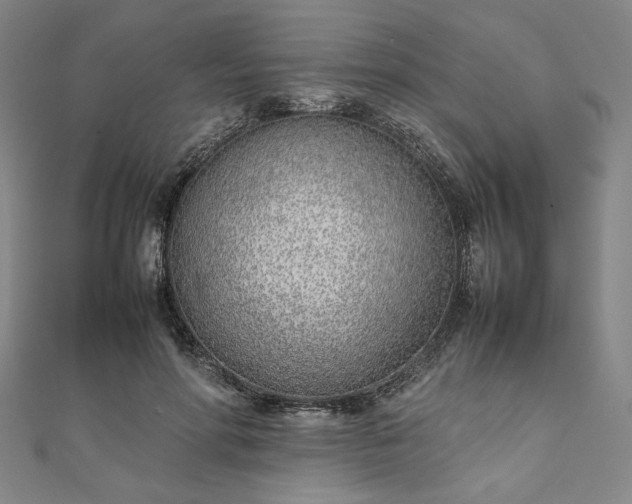 X0000111920598200908031206