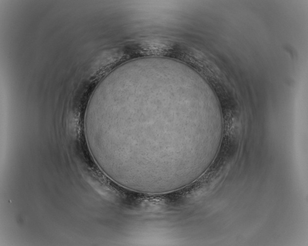 X0000111920599200908031206