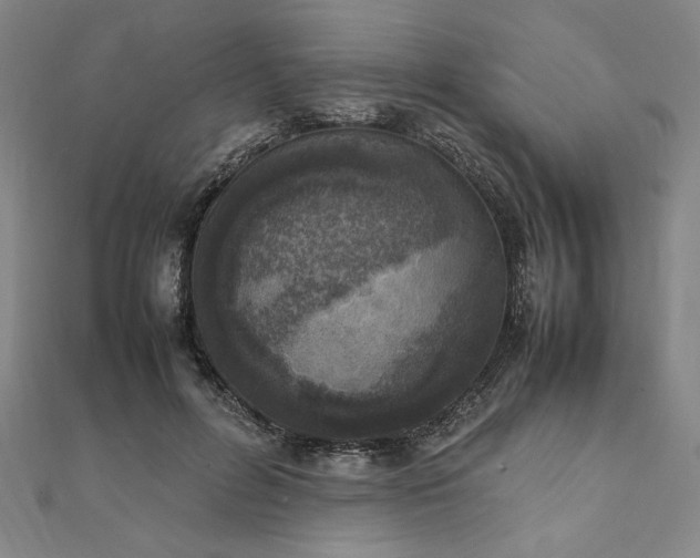 X0000111920600200908031206