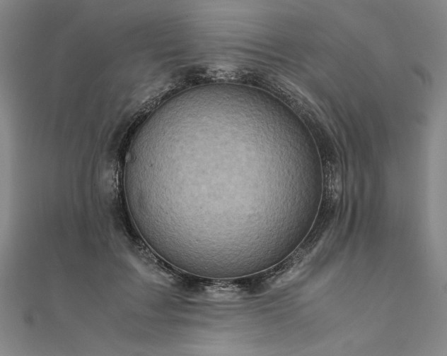 X0000111920603200908031206