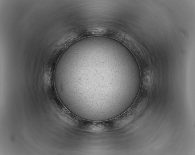 X0000111920604200908031206