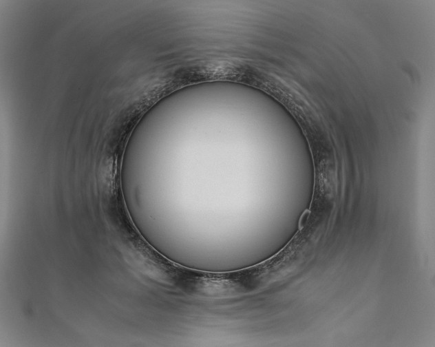 X0000111920605200908031206