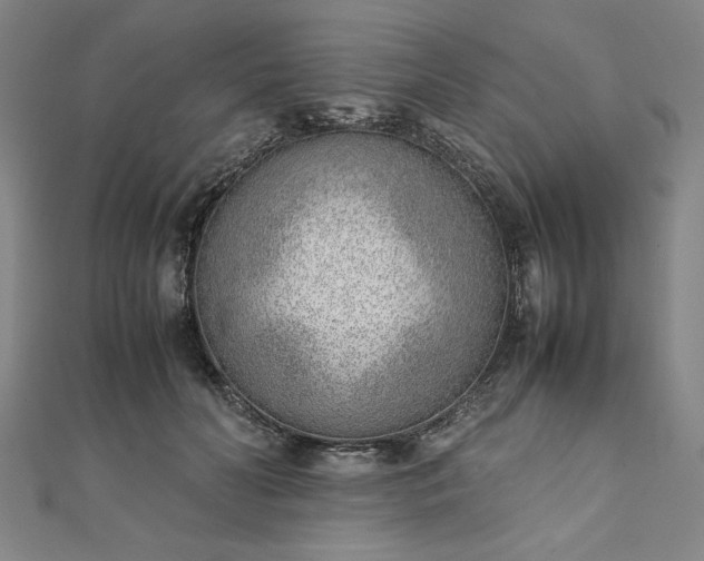 X0000111920606200908031206