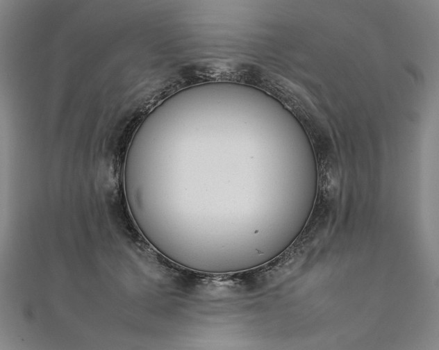 X0000111920607200908031206