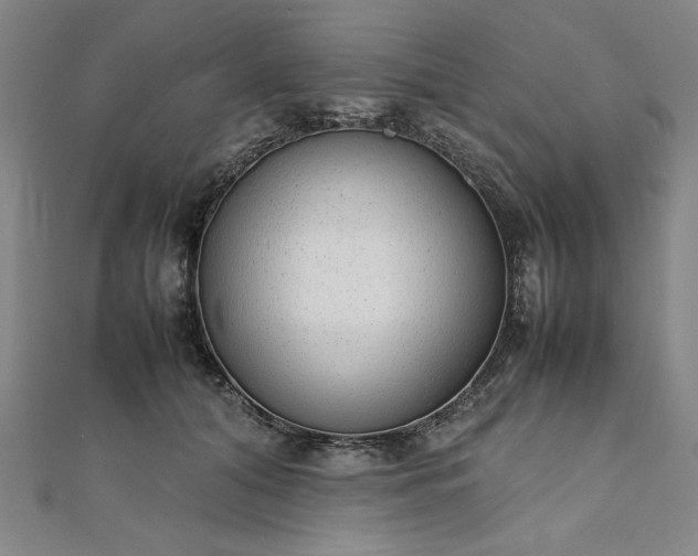 X0000111920608200908031206