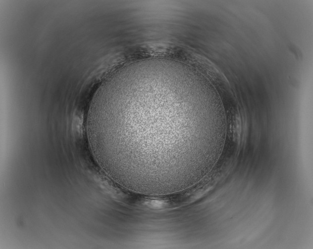 X0000111920610200908031206