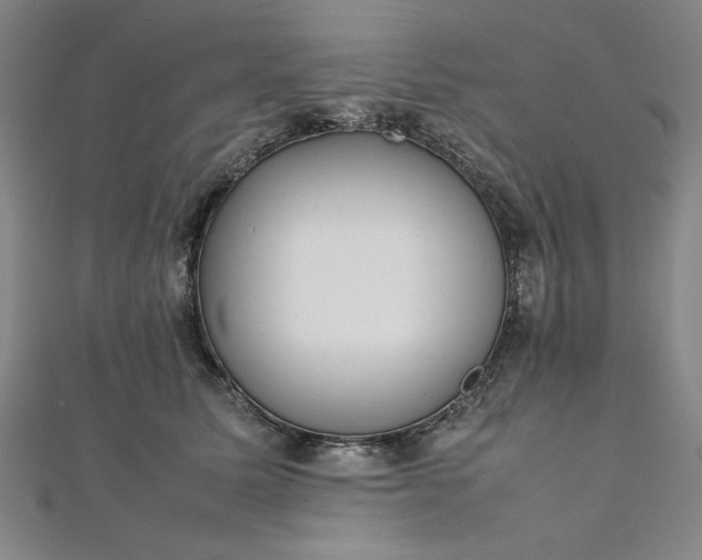 X0000111920611200908031206