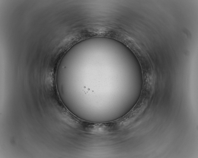 X0000111920612200908031206