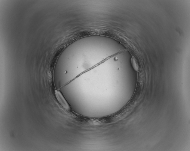 X0000111920613200908031206