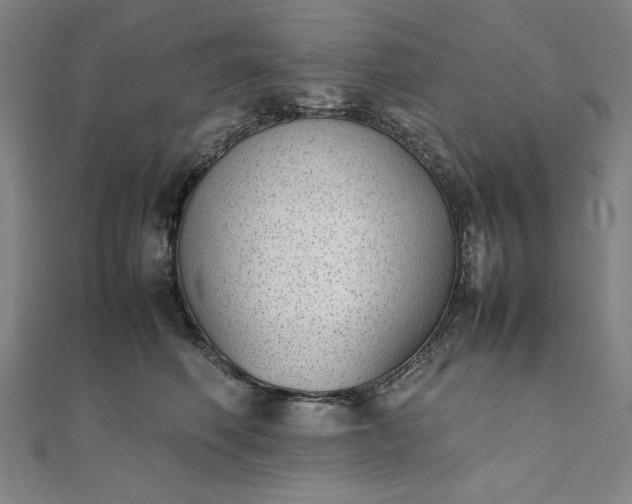 X0000111920614200908031206