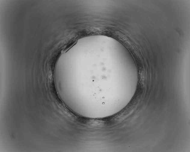 X0000111920617200908031206