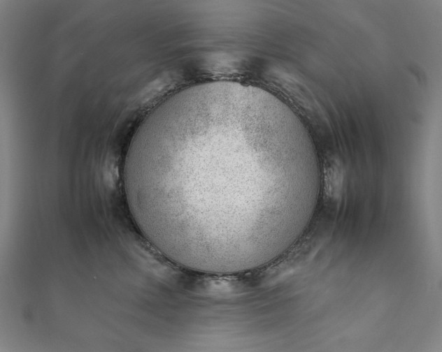 X0000111920618200908031206