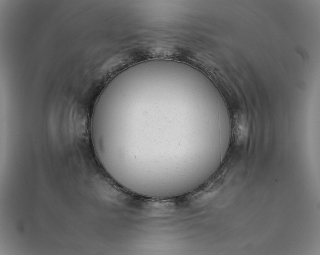 X0000111920619200908031206