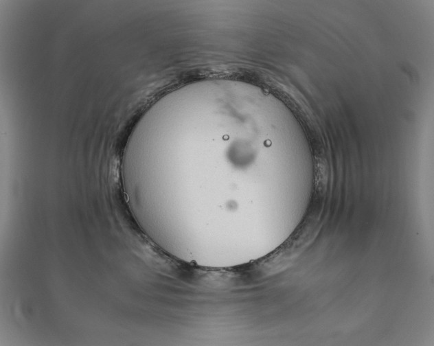 X0000111920621200908031206