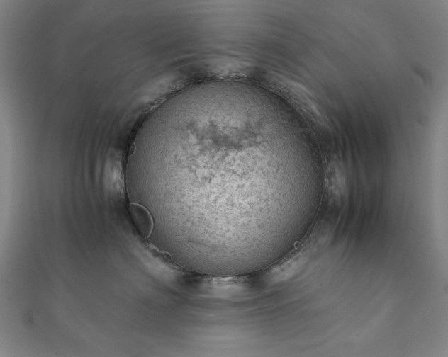 X0000111920622200908031206