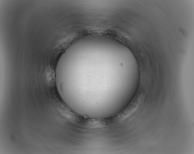 X0000111920624200908031206