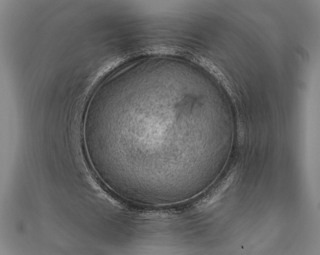 X0000111920625200908031205